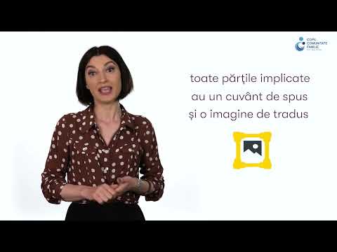 Preview image for the video "Donatii 2.1 Roxana Marketing si foundraising in Ong uri".